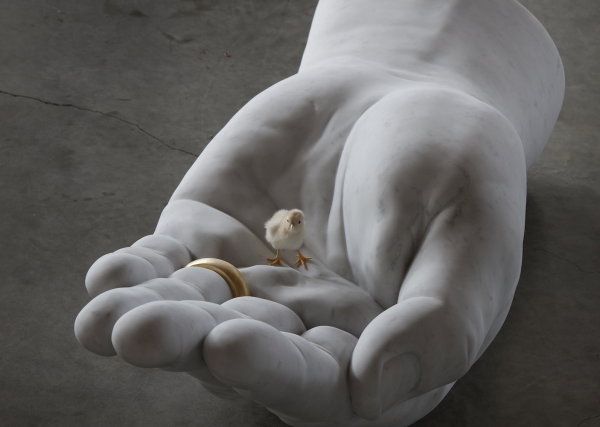 Generosity © Koen Vanmechelen