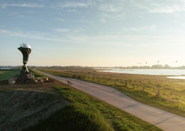 Future Fossil © Koen Vanmechelen, photo by Lieven Geuns