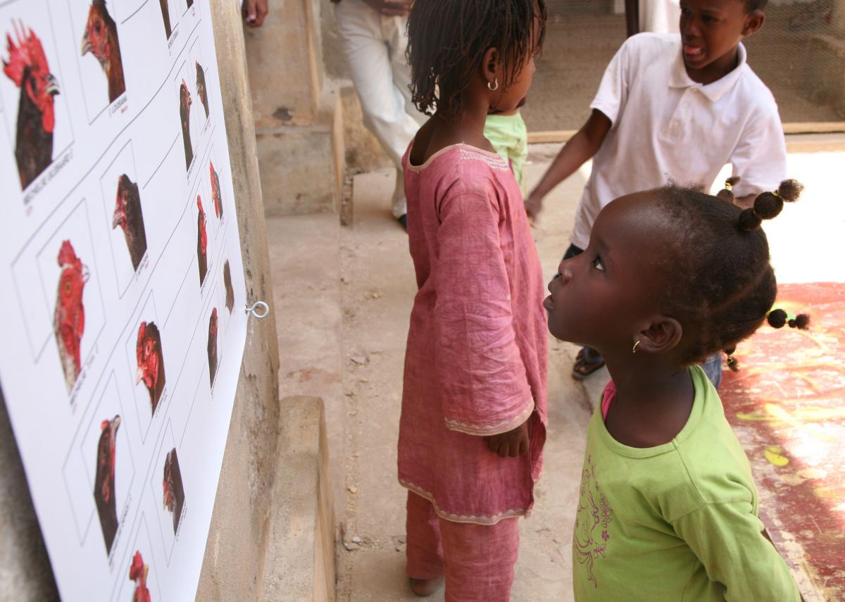 CCP Biennale Dakar 2012 CCP Biennale Dakar 2012