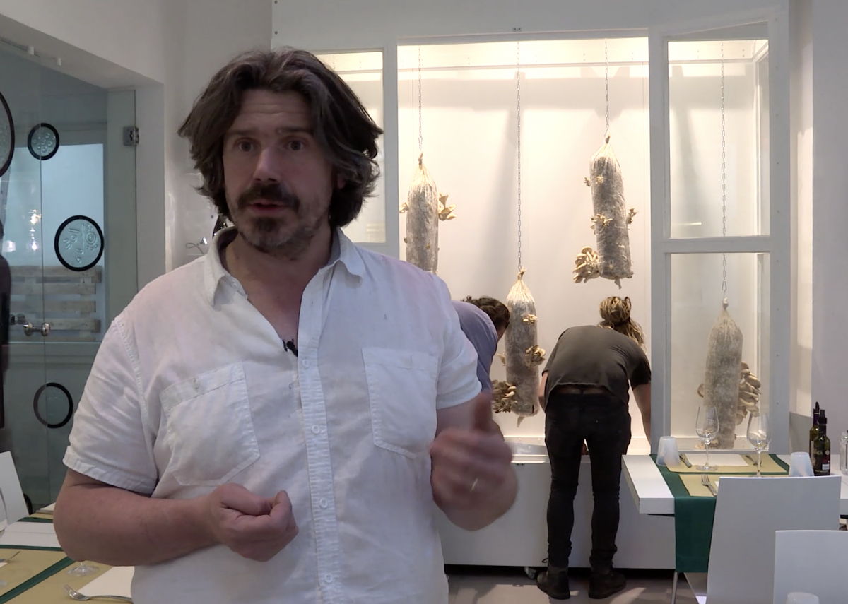 Artist bids to save the world