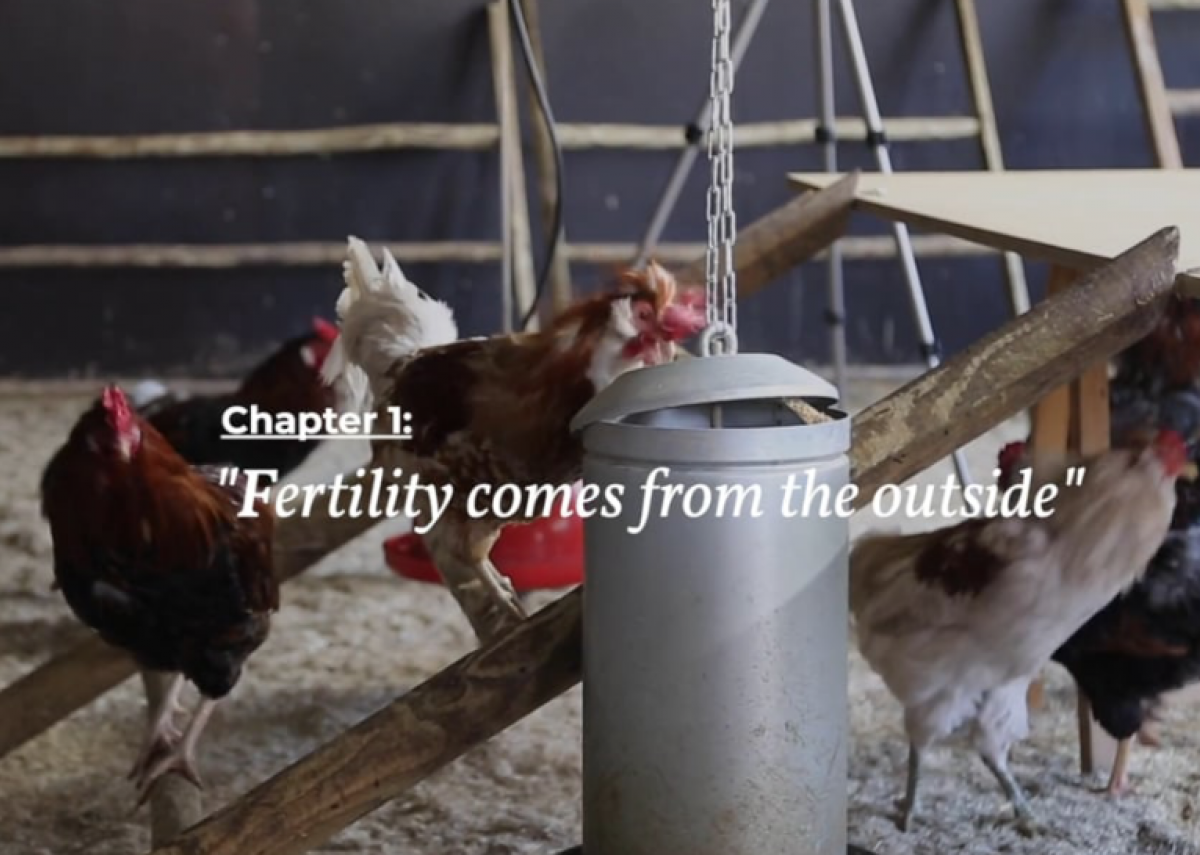 The Worth of Life, Chapter I - "Fertility comes from the outside"