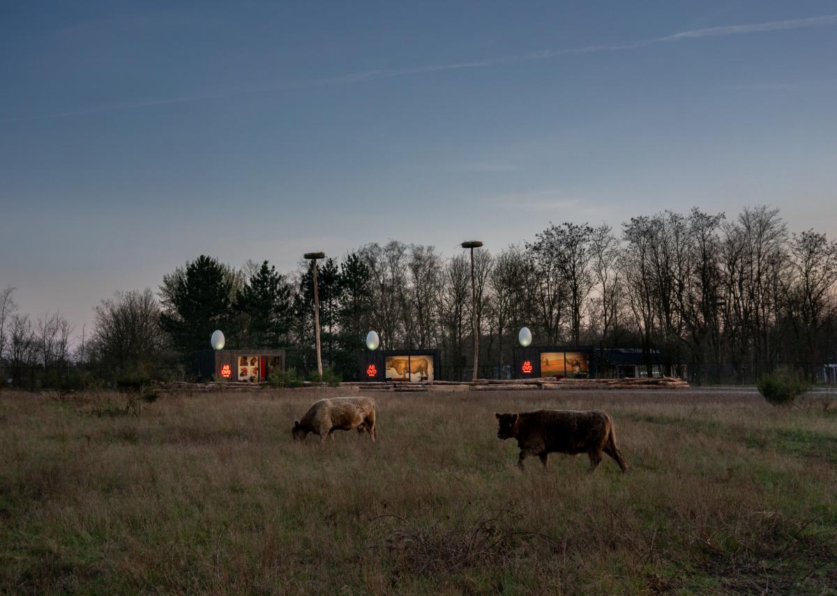 LaMouseion © Koen Vanmechelen, Kris Vervaeke LaMouseion © Koen Vanmechelen, Kris Vervaeke