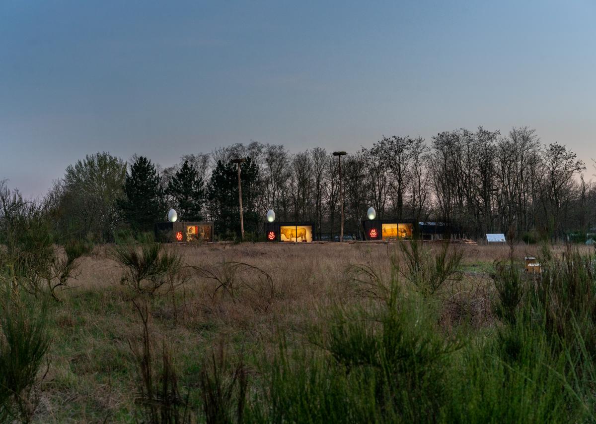 LaMouseion © Koen Vanmechelen, Kris Vervaeke LaMouseion © Koen Vanmechelen, Kris Vervaeke