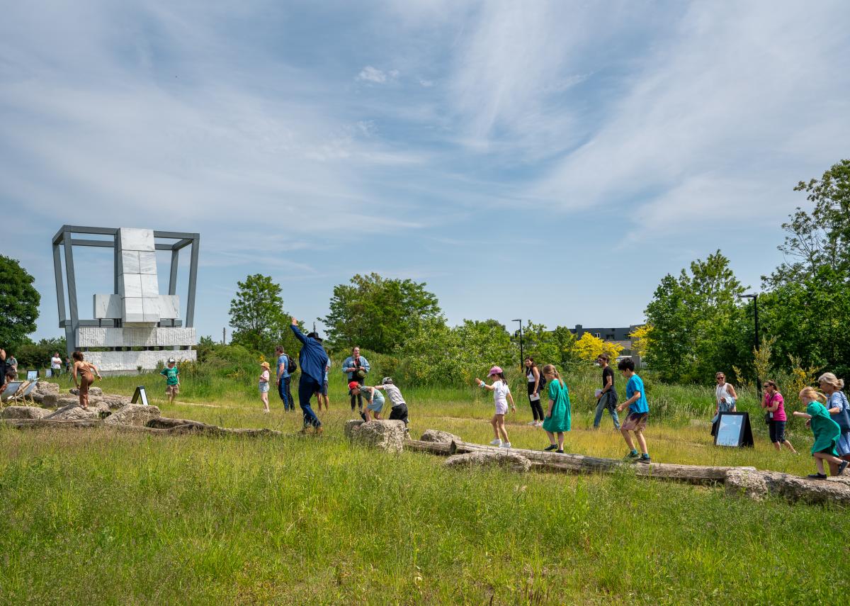 Dag van de Cosmogolem foto Kris Vervaeke.jpg