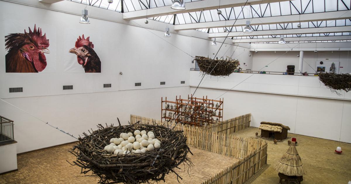 Planetary Community Chicken - P.C.C., National Gallery of Zimbabwe ...
